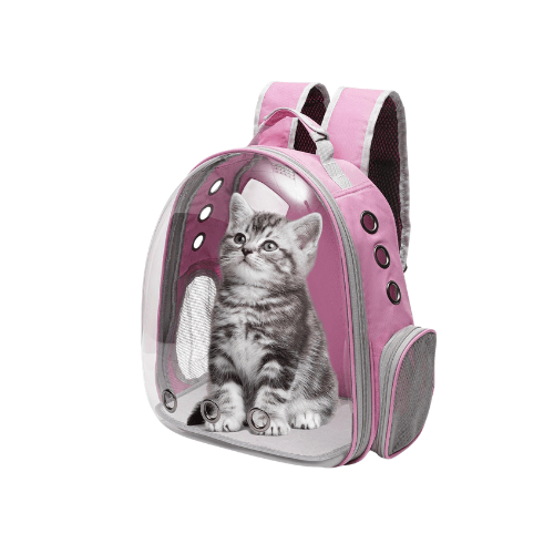 Transparent Space Capsule Pet Carrier Backpack