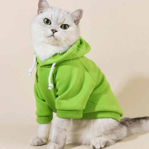 Essential Vibrant Dog Hoodie – Soft Stretch Puppy Sweatshirt