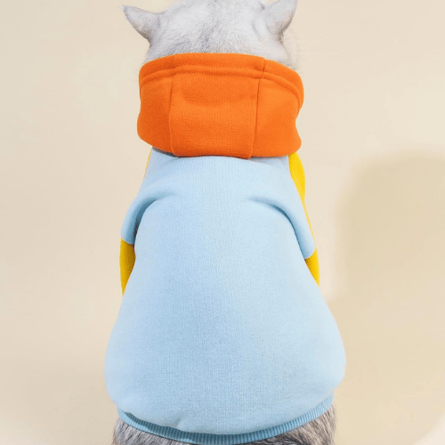 Essential Vibrant Dog Hoodie – Soft Stretch Puppy Sweatshirt