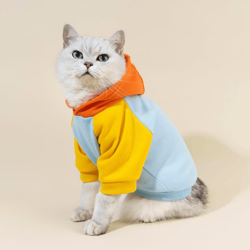 Essential Vibrant Dog Hoodie – Soft Stretch Puppy Sweatshirt