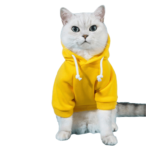 Essential Vibrant Dog Hoodie – Soft Stretch Puppy Sweatshirt