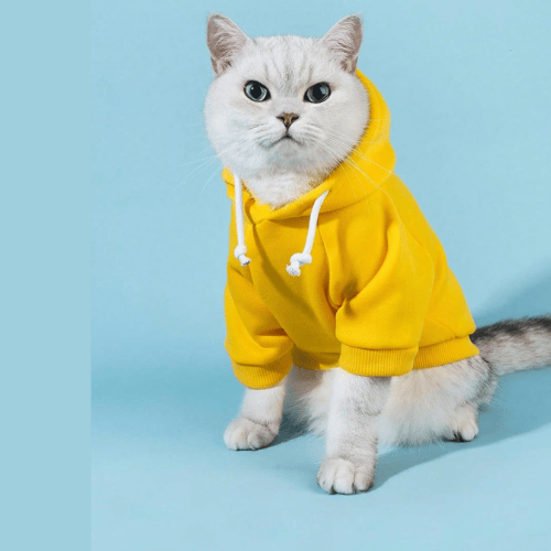 Essential Vibrant Dog Hoodie – Soft Stretch Puppy Sweatshirt