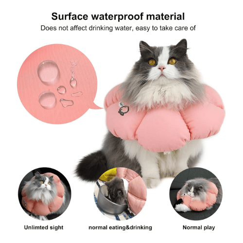 Cute Waterproof Cat Cone Collar – Soft Adjustable Elizabethan Recovery Collar