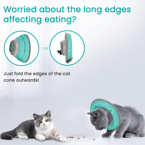 Soft Cat Recovery Collar – Lightweight Mesh Elizabethan Cone for Kittens & Cats