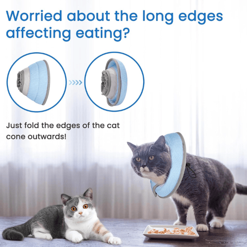 Soft Cat Recovery Collar – Lightweight Mesh Elizabethan Cone for Kittens & Cats