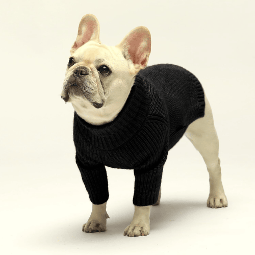 Dog Turtleneck Knit Sweater – Thermal Chunky Jacquard Pet Coat