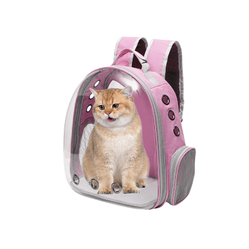 Transparent Space Capsule Pet Carrier Backpack