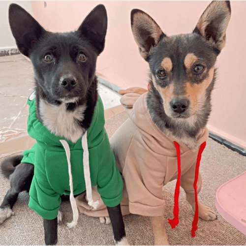 Cozy Dog Hoodie Sweatshirt – Soft Fleece Pet Sweater