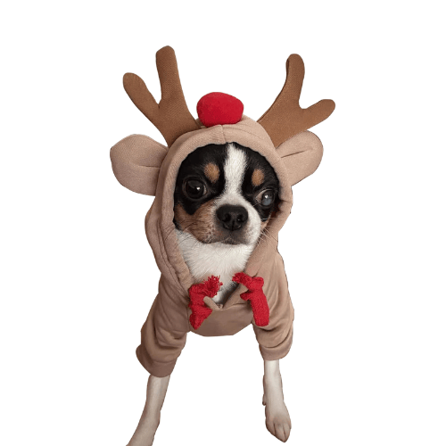Cozy Dog Hoodie Sweatshirt – Soft Fleece Pet Sweater