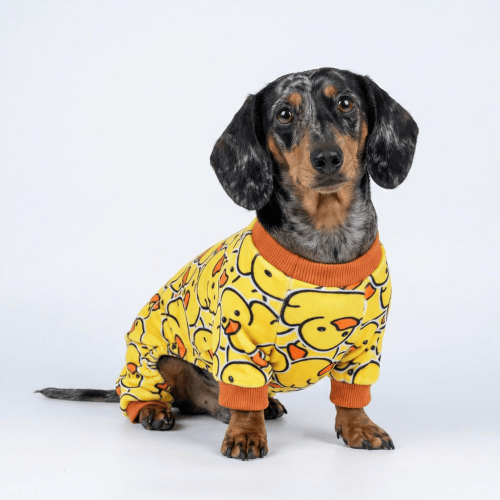 Soft Velvet Dog Pajamas – Lightweight Thermal Pet Jumpsuit