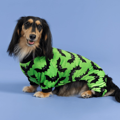 Soft Velvet Dog Pajamas – Lightweight Thermal Pet Jumpsuit