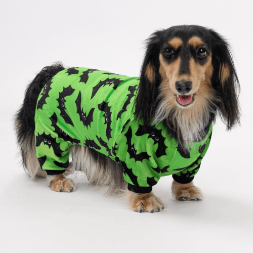Soft Velvet Dog Pajamas – Lightweight Thermal Pet Jumpsuit