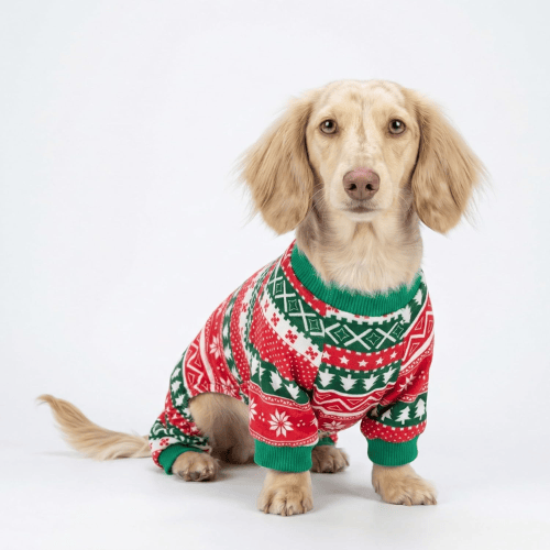 Soft Velvet Dog Pajamas – Lightweight Thermal Pet Jumpsuit