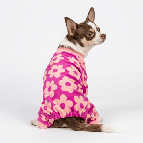 Soft Velvet Dog Pajamas – Lightweight Thermal Pet Jumpsuit