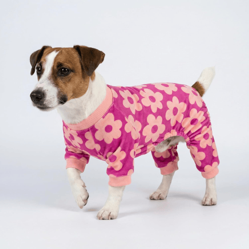 Soft Velvet Dog Pajamas – Lightweight Thermal Pet Jumpsuit