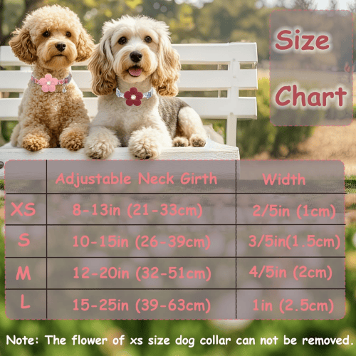Cute Floral Dog Collar with Flower & Bell