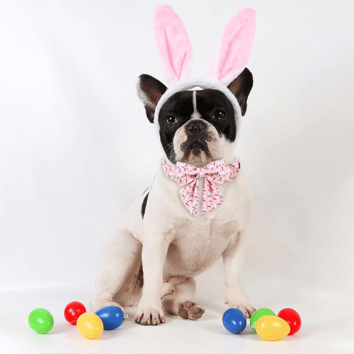 Cute Sailor Bowtie Dog Collar – Soft Cotton Carrot Pattern Puppy Collar