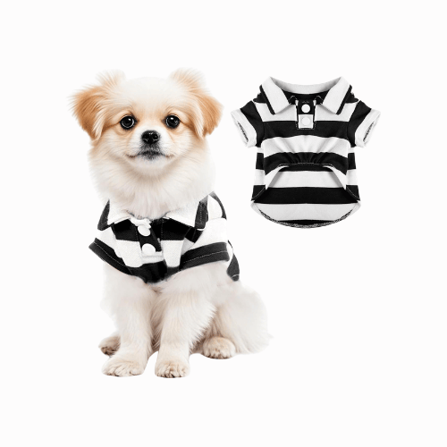 Striped Dog Polo Shirt – Classic Preppy Puppy Clothes