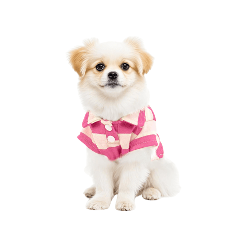 Striped Dog Polo Shirt – Classic Preppy Puppy Clothes