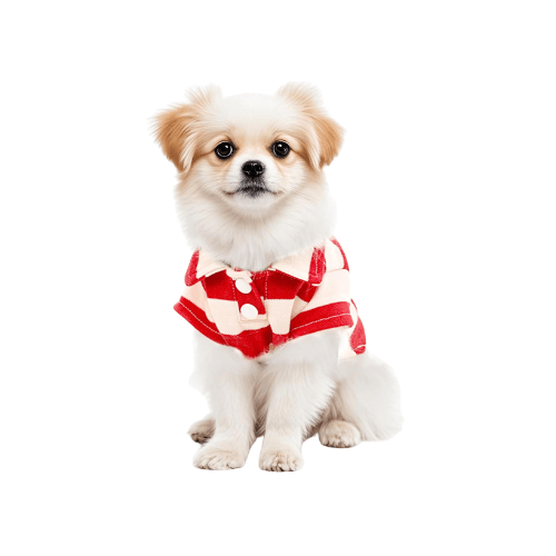 Striped Dog Polo Shirt – Classic Preppy Puppy Clothes