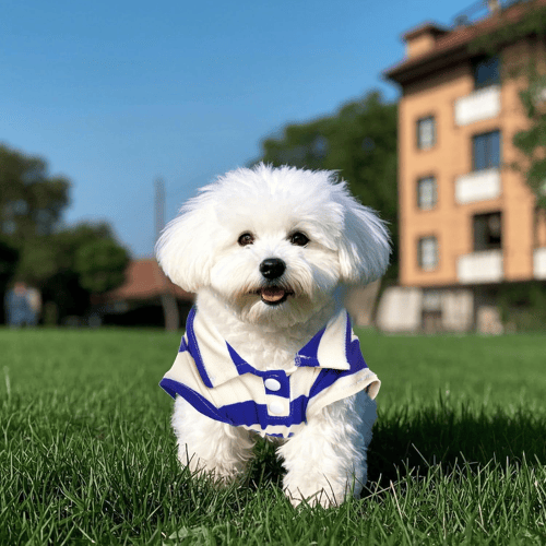 Striped Dog Polo Shirt – Classic Preppy Puppy Clothes