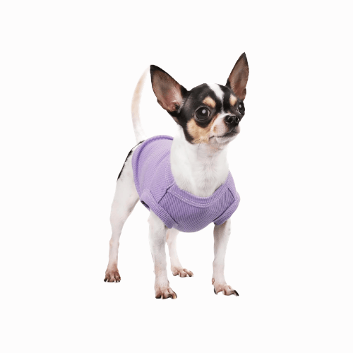 Essential Solid Sleeveless Dog Tank – High-Stretch Blank Puppy T-Shirt