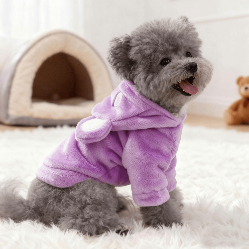 Modern "Bear-Hug" Dog Hoodie – Premium Plush Fleece Winter Sweater