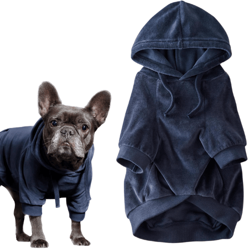 Modern "Eco-Velour" Dog Hoodie – Functional Winter Pet Coat with Leash Access