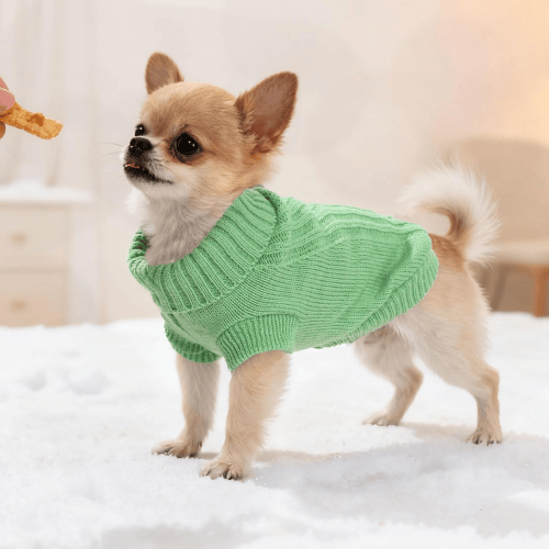 Modern "Urban Knit" Dog Turtleneck – Thick Winter Pullover Sweater