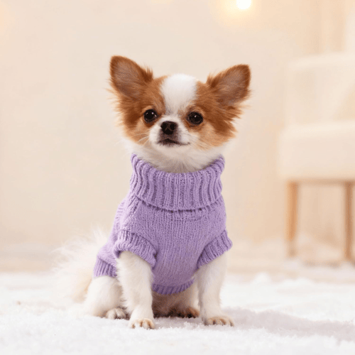 Modern "Urban Knit" Dog Turtleneck – Thick Winter Pullover Sweater