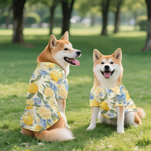 Modern "Island Bliss" Hawaiian Pet Shirt