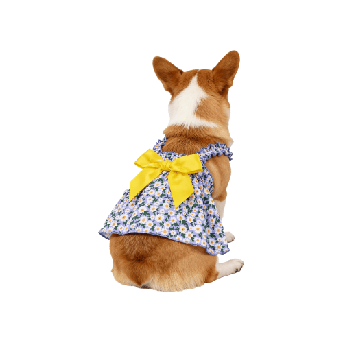 Modern "Daisy Princess" Pet Dress – Floral Halter Summer Skirt