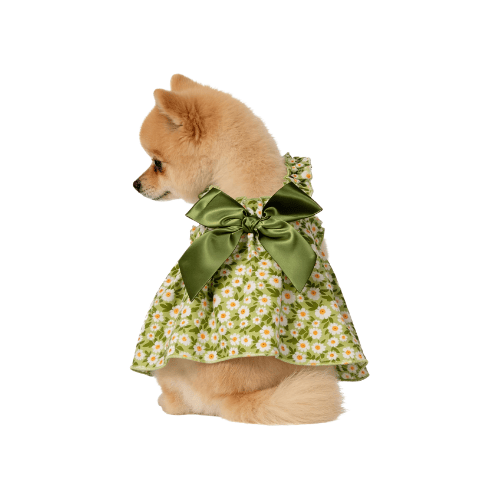 Modern "Daisy Princess" Pet Dress – Floral Halter Summer Skirt