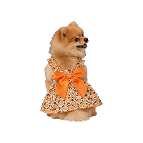 Modern "Daisy Princess" Pet Dress – Floral Halter Summer Skirt