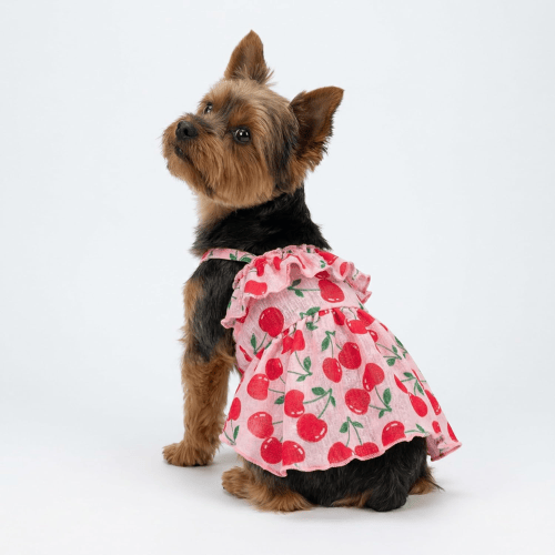 Modern "Patriotic Bloom" Pet Sundress – Ruffled Hawaiian Smiley Flower Dress