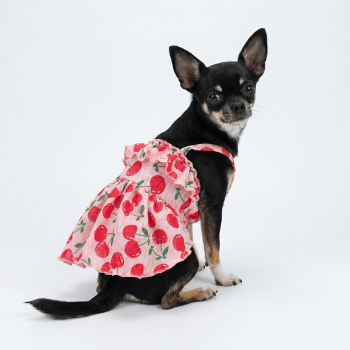 Modern "Patriotic Bloom" Pet Sundress – Ruffled Hawaiian Smiley Flower Dress