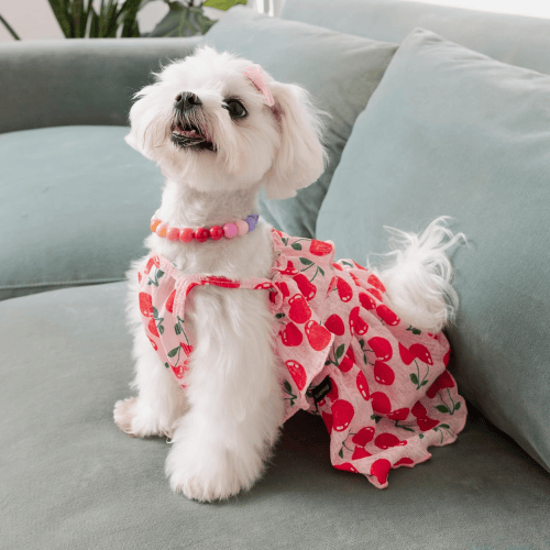 Modern "Patriotic Bloom" Pet Sundress – Ruffled Hawaiian Smiley Flower Dress