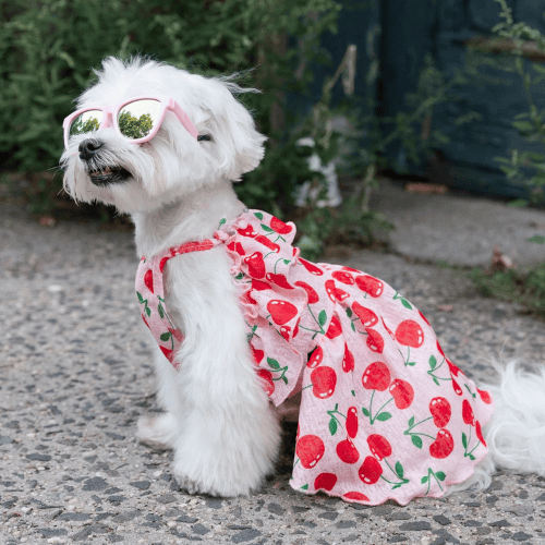 Modern "Patriotic Bloom" Pet Sundress – Ruffled Hawaiian Smiley Flower Dress
