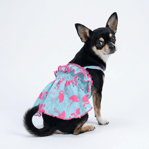 Modern "Patriotic Bloom" Pet Sundress – Ruffled Hawaiian Smiley Flower Dress