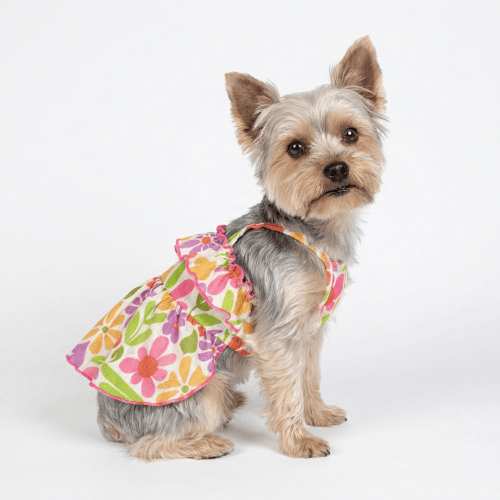 Modern "Patriotic Bloom" Pet Sundress – Ruffled Hawaiian Smiley Flower Dress