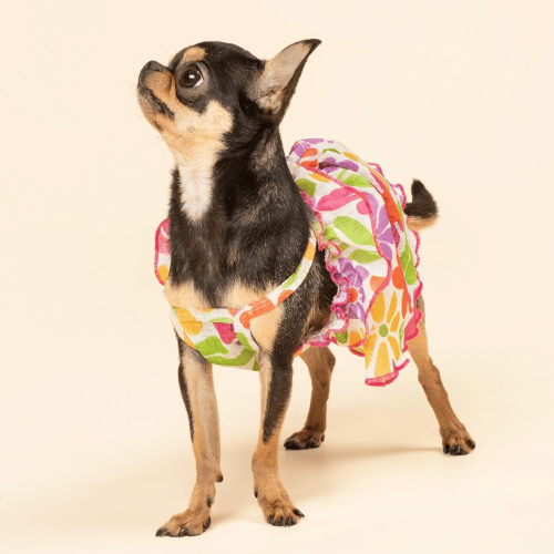 Modern "Patriotic Bloom" Pet Sundress – Ruffled Hawaiian Smiley Flower Dress
