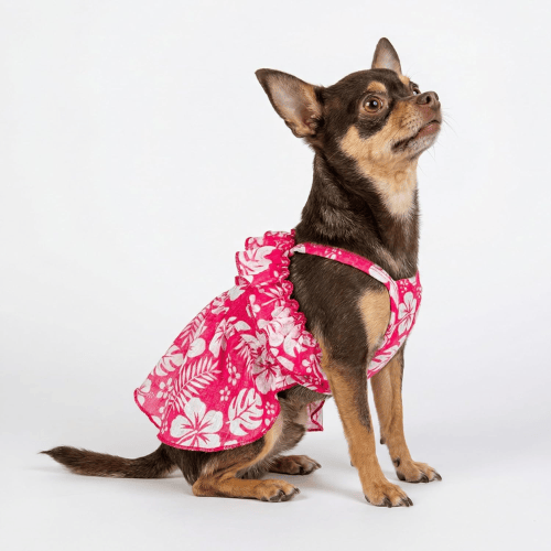 Modern "Patriotic Bloom" Pet Sundress – Ruffled Hawaiian Smiley Flower Dress