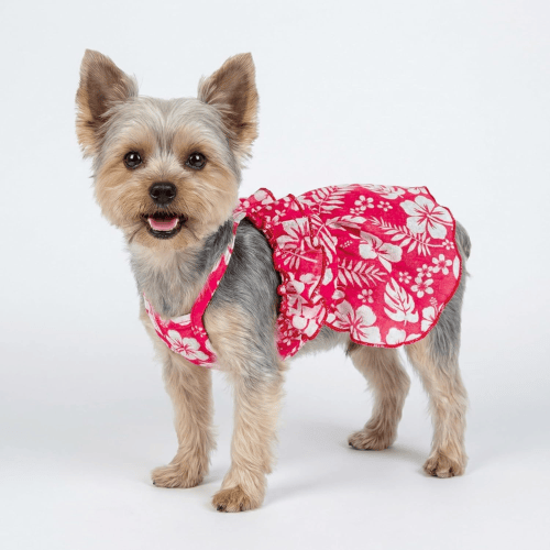 Modern "Patriotic Bloom" Pet Sundress – Ruffled Hawaiian Smiley Flower Dress