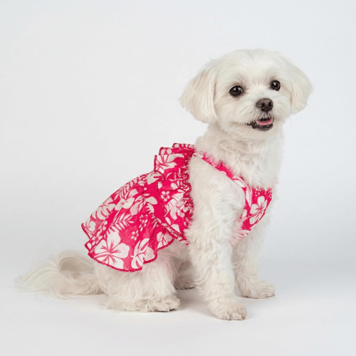 Modern "Patriotic Bloom" Pet Sundress – Ruffled Hawaiian Smiley Flower Dress