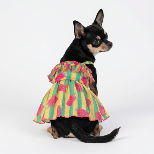 Modern "Patriotic Bloom" Pet Sundress – Ruffled Hawaiian Smiley Flower Dress