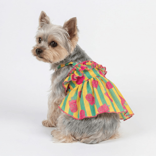 Modern "Patriotic Bloom" Pet Sundress – Ruffled Hawaiian Smiley Flower Dress