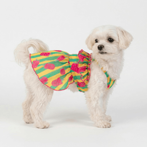 Modern "Patriotic Bloom" Pet Sundress – Ruffled Hawaiian Smiley Flower Dress