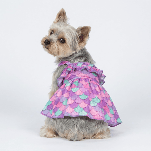 Modern "Patriotic Bloom" Pet Sundress – Ruffled Hawaiian Smiley Flower Dress