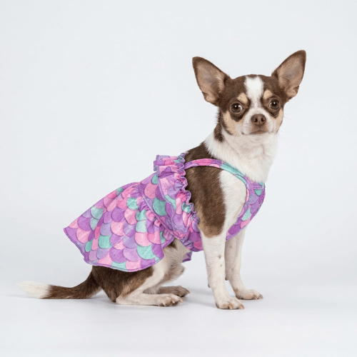 Modern "Patriotic Bloom" Pet Sundress – Ruffled Hawaiian Smiley Flower Dress