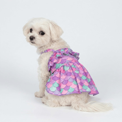 Modern "Patriotic Bloom" Pet Sundress – Ruffled Hawaiian Smiley Flower Dress